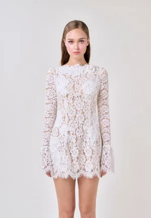 Dania Beige Jewel Flare Long Sleeve Lace Mini Dress