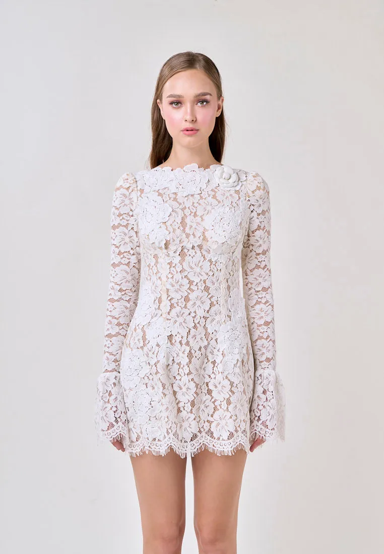 Dania Beige Jewel Flare Long Sleeve Lace Mini Dress