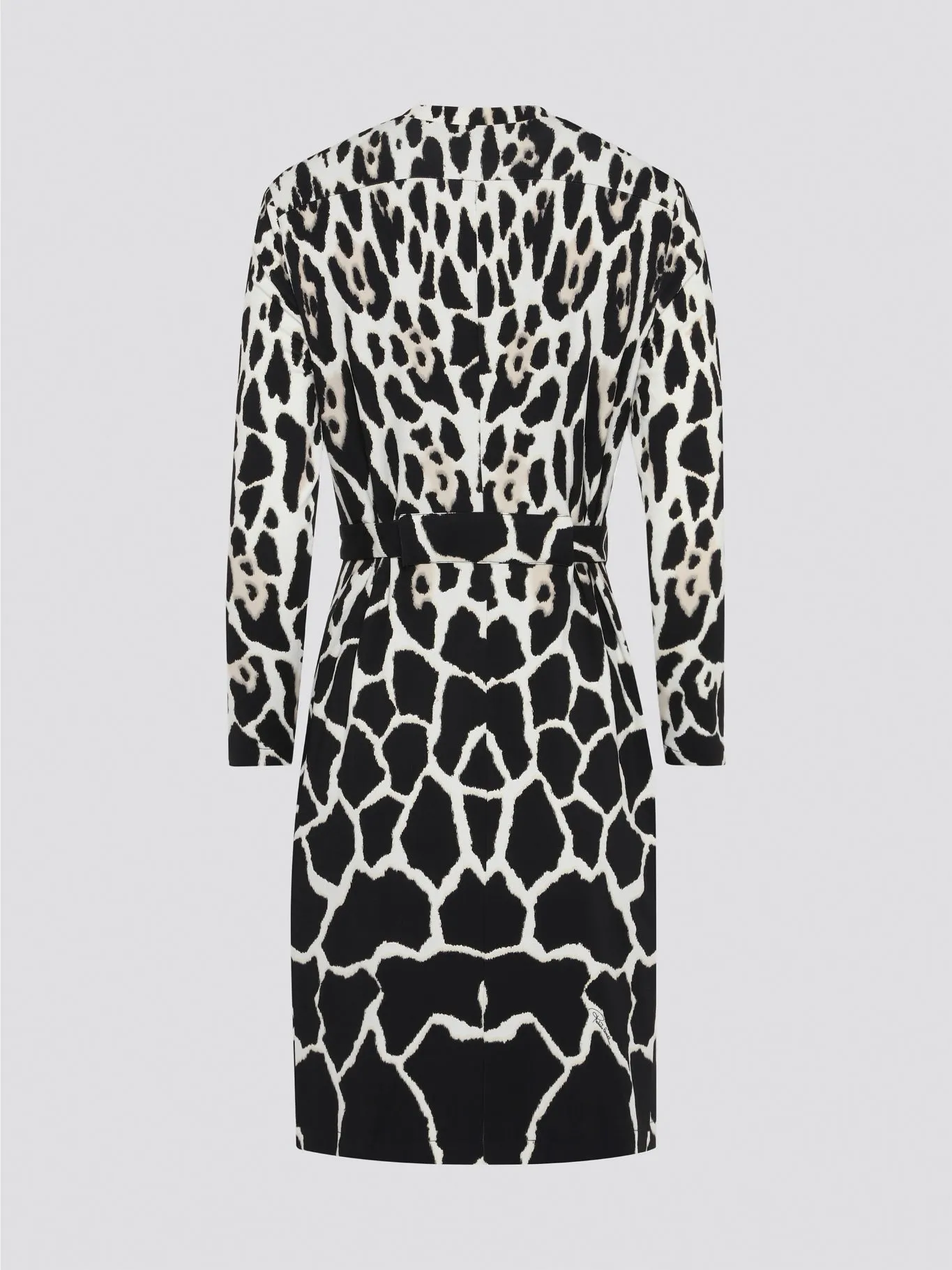 Leopard Print Wrap Dress